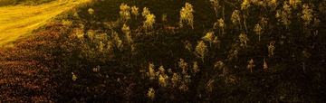 DSC02984a