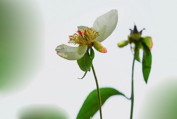 DSC07267 拷贝.jpg1600