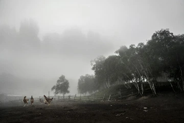 寂静的小山村