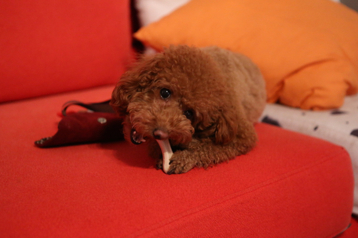 香 左右开弓2 br />