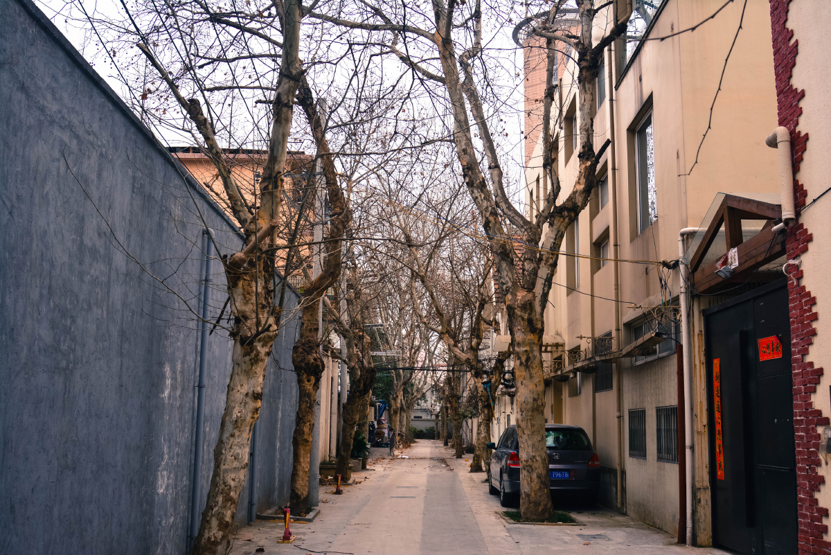 【建筑】肇嘉浜路