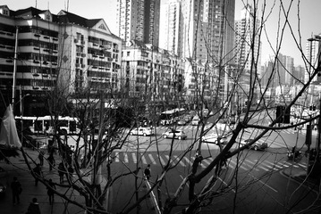 DSC_0037.jpg