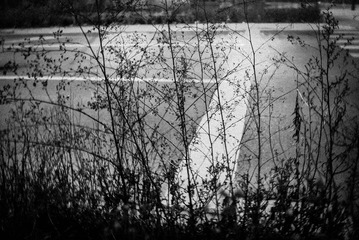 DSC_0057.jpg