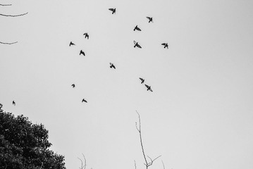 DSC_0074.jpg