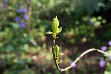 20130306-DSC_0069.jpg