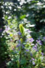 20130306-DSC_0071.jpg