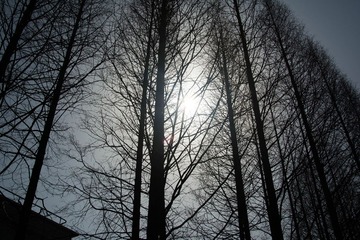 20130306-DSC_0067.jpg