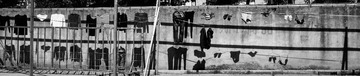 20130306-DSC_0074.jpg