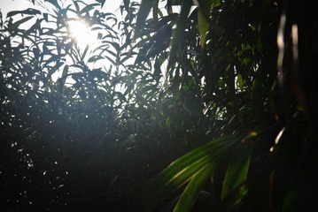 DSC_0064.jpg