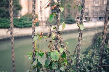 20130308-DSC_0095.jpg