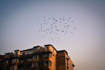 20130308-DSC_0091.jpg
