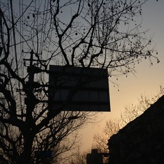 20130308-DSC_0098.jpg