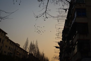 20130308-DSC_0100.jpg