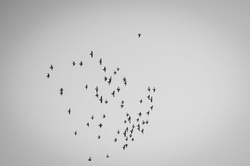 20130308-DSC_0085.jpg