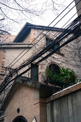 20130310-DSC_0110.jpg
