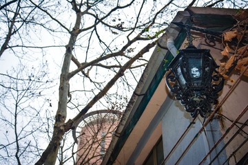 20130310-DSC_0112.jpg