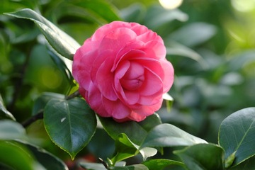 C2F9F5D0-8CB9-4D5B-904E-82EEAD7D3DF4/L0/001