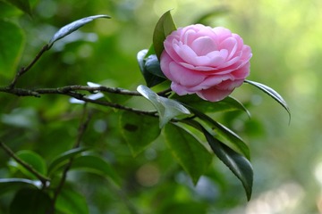 F2E3D9DD-3E30-4E54-B688-04B62EF290F8/L0/001