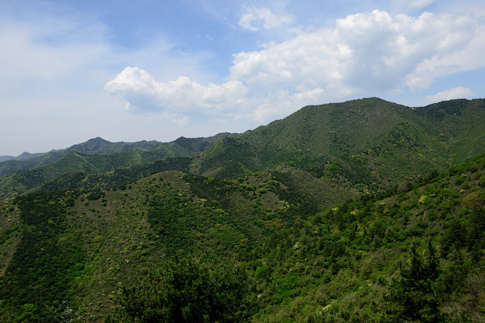漫游野河山景区