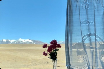 高原火车上的风景