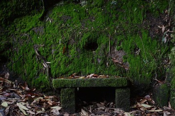 DSC_2716.JPG