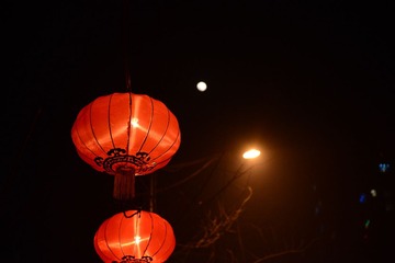 DSC_2879.JPG