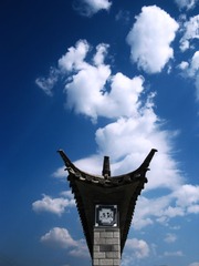 IMG_4950.jpg