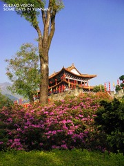 IMG_4898.jpg