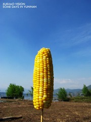 IMG_5162.jpg
