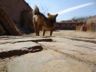 DSC04019.JPG