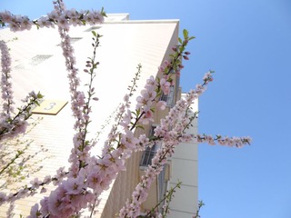 DSC03804.JPG