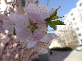 DSC03809.JPG