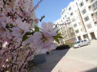 DSC03810.JPG
