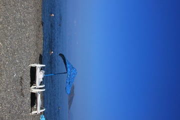 IMG_1837.JPG