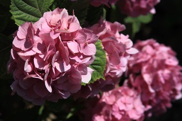 IMG_1914.JPG