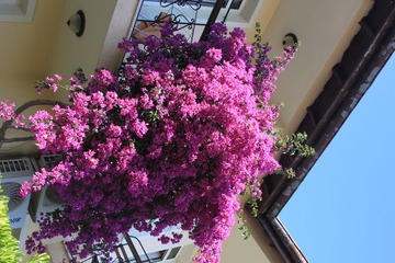 IMG_1903.JPG