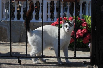 IMG_1893.JPG