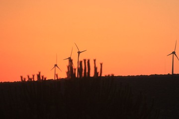 IMG_2235.JPG