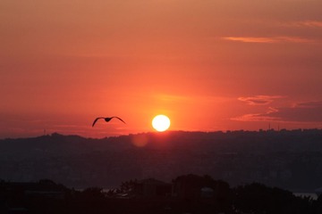 IMG_8775.JPG