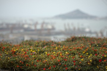 _MG_3393.jpg