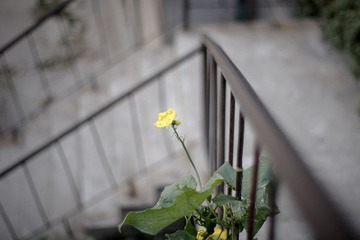 _MG_3415.jpg