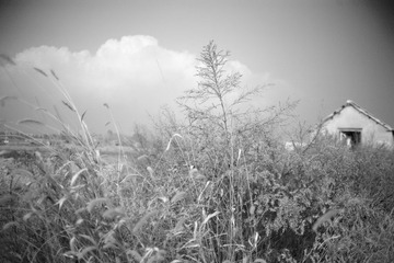 _MG_6574.jpg