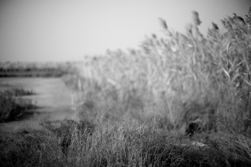 _MG_6674.jpg
