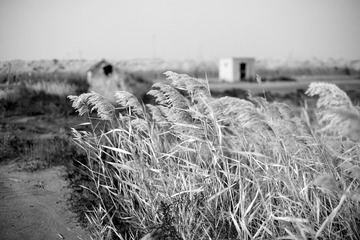 _MG_6692.jpg