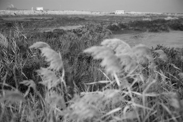 _MG_6698.jpg