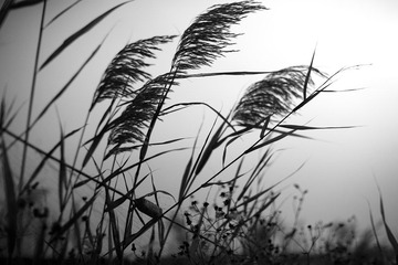 _MG_6708.jpg