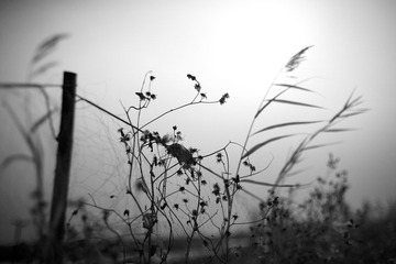 _MG_6713.jpg