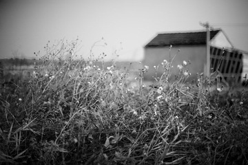 _MG_6718.jpg
