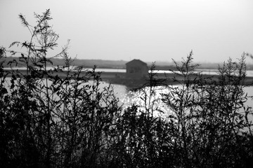 _MG_6726.jpg