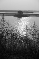 _MG_6728.jpg
